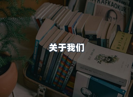 关于我们
